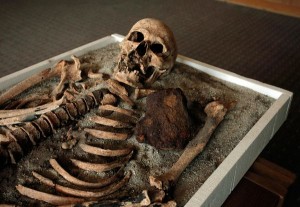 Uno degli scheletri di vampiri di 700 anni fa esposti al Museo di Storia di Sofia con il suo pezzo di ferro.  (Fotografia di Valentina Petrova, AP)