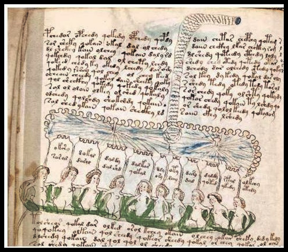 Voynich manuscript 13